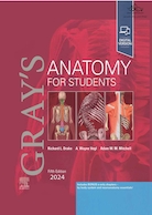 Gray’s Anatomy for Students 5th Edition 2024